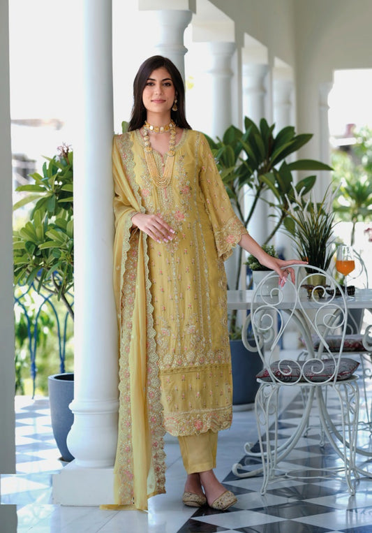 Women Beige Organza With Embroidery Work Pakistani Suit Set