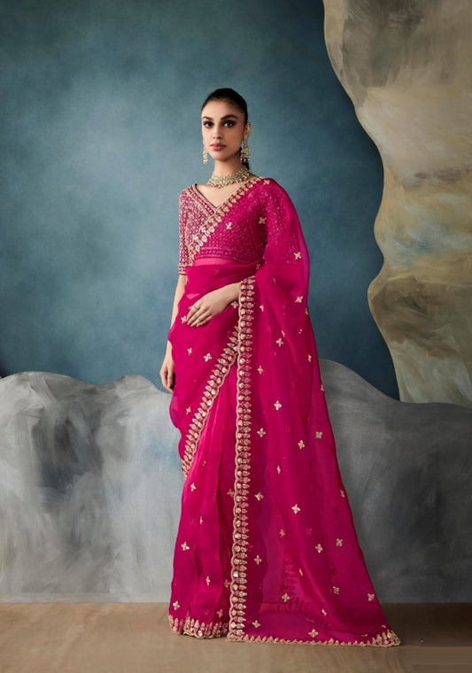 Timeless Pink Tissue With Hand Work Tissue Saree