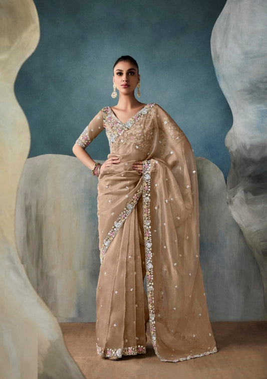 Tailored Beige Tissue With Hand Work Tissue Saree