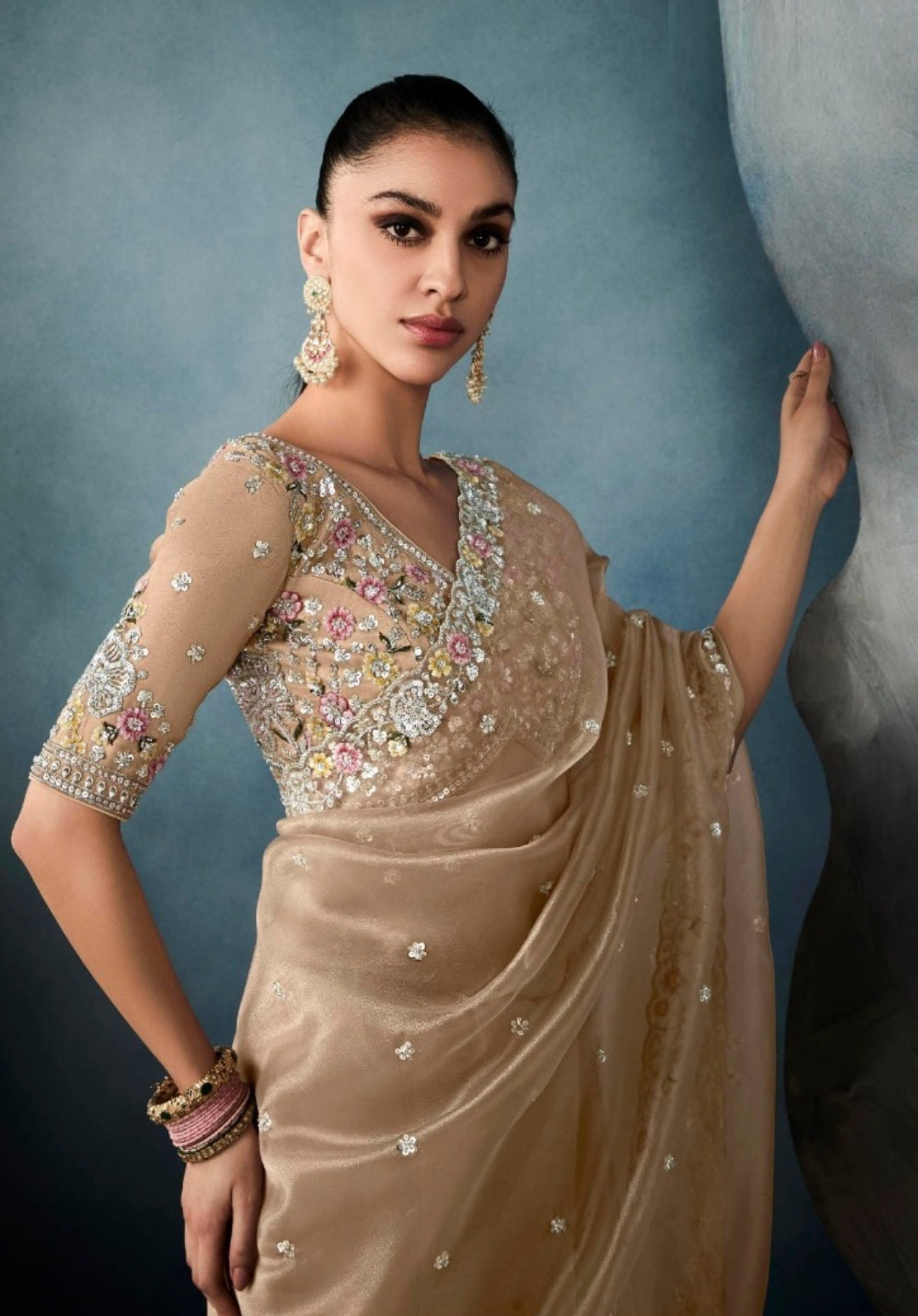 Tailored Beige Tissue With Hand Work Tissue Saree