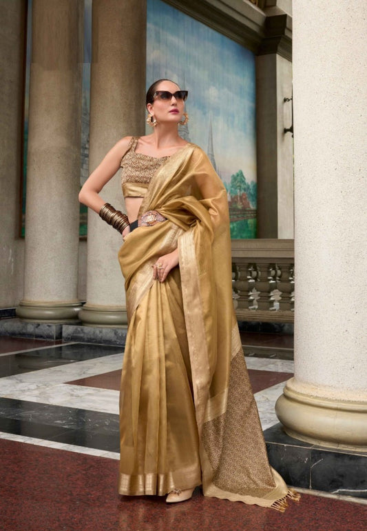 Attractive Beige Tissue Saree