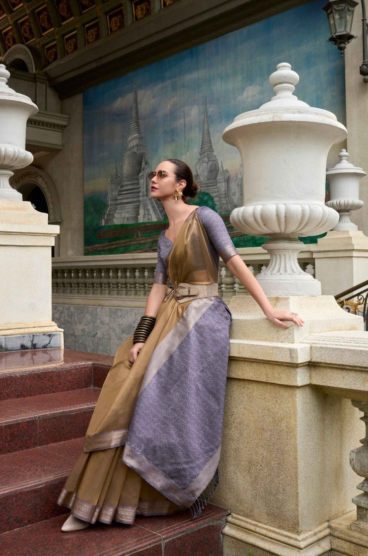 Women Beige And Grey Tissue Saree