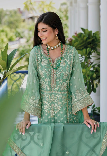 Women Sky Blue Organza With Embroidery Work Pakistani Suit Set