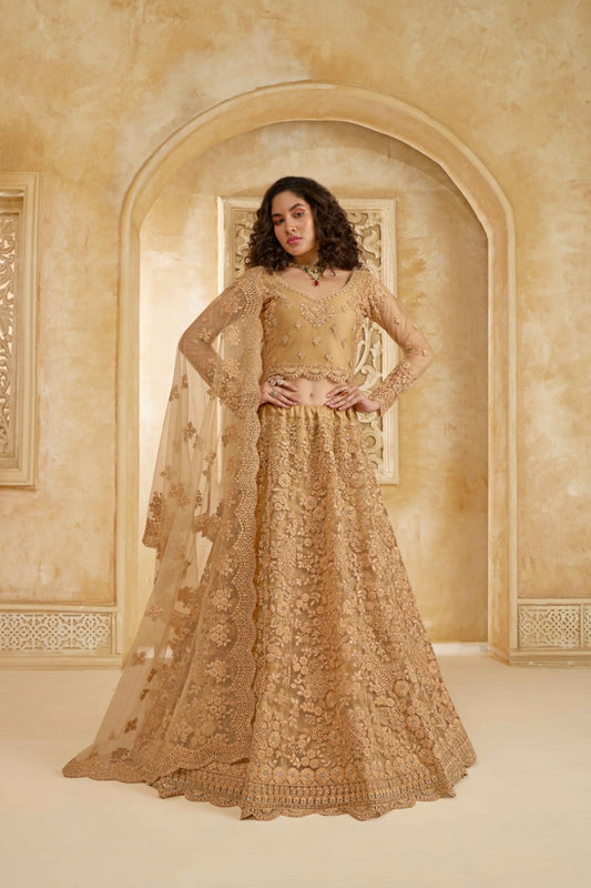 Elegant Beige Net With Embroidery Work Gliterring Lehenga
