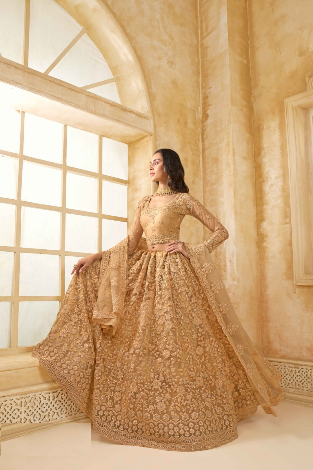 Sophisticated Beige Net With Embroidery Work Gliterring Lehenga