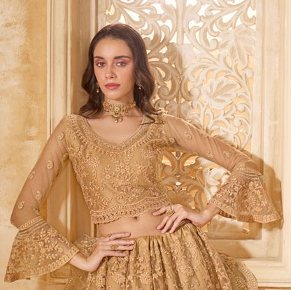 Polished Beige Net With Embroidery Work Gliterring Lehenga