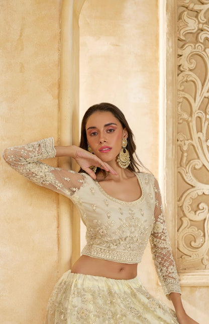 Opulent Off White Net With Embroidery Work Gliterring Lehenga