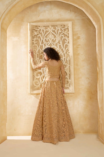 Graceful Beige Net With Embroidery Work Gliterring Lehenga