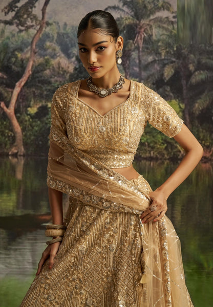 Opalescent Beige Soft Net Bridal Lehenga Set
