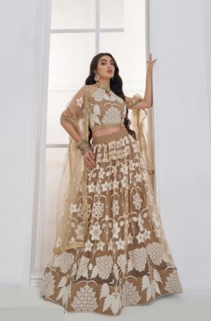 Women Light Brown Net With Embroidery Work Stylish Lehenga