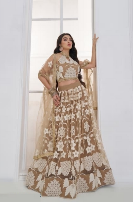 Women Light Brown Net With Embroidery Work Stylish Lehenga