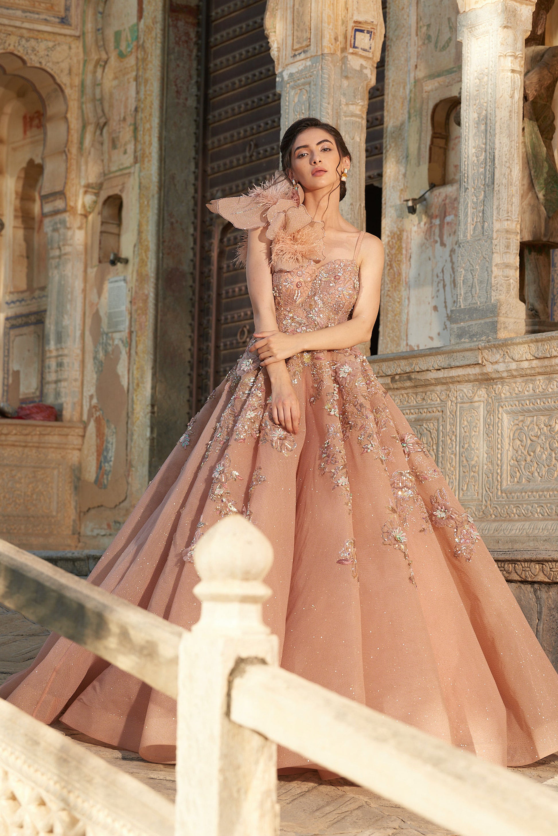 Stylish Peach Customised Hand Embroidered Partywear Ball Gown Stylish Peach Customised Hand Embroidered Partywear Ball Gown