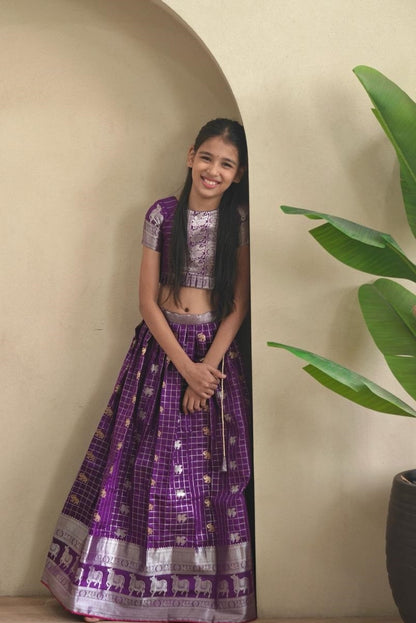 Spectacular Purple Soft Silk Kanchipuram Kids Lehenga