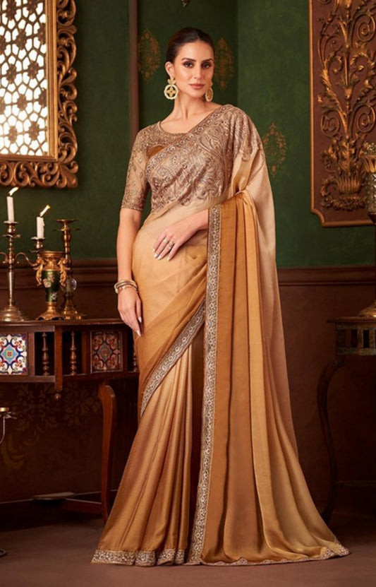 Embroidery Work Rust Chiffon saree
